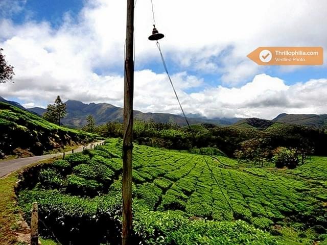 Munnar Sightseeing Including Top Station Image