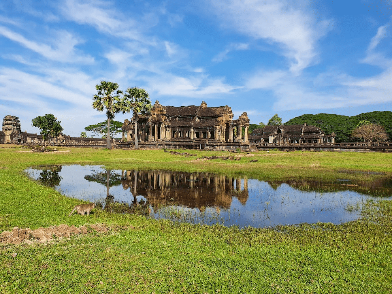 Angkor Wat Overview