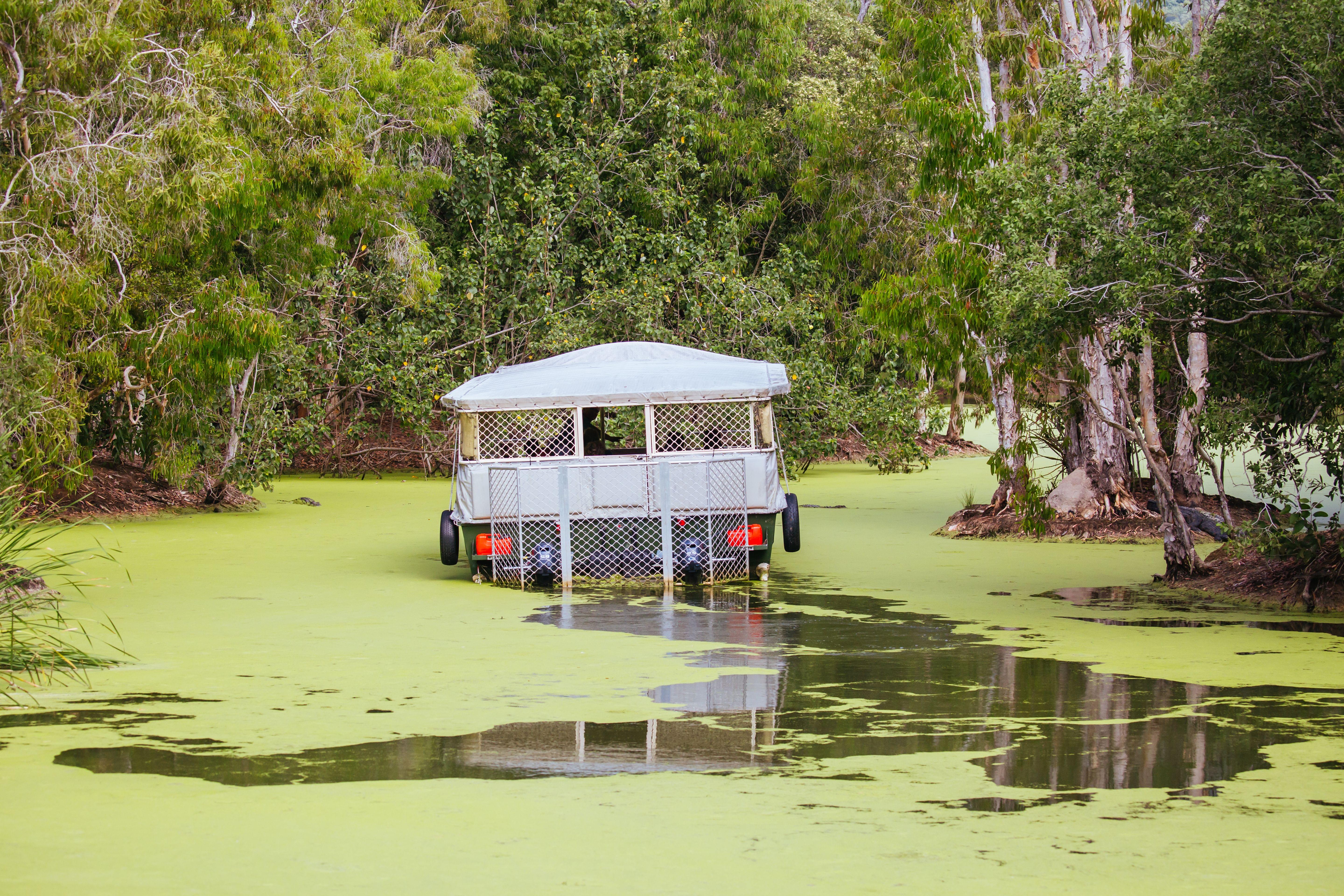 Activities In Hartleys Crocodile Adventures