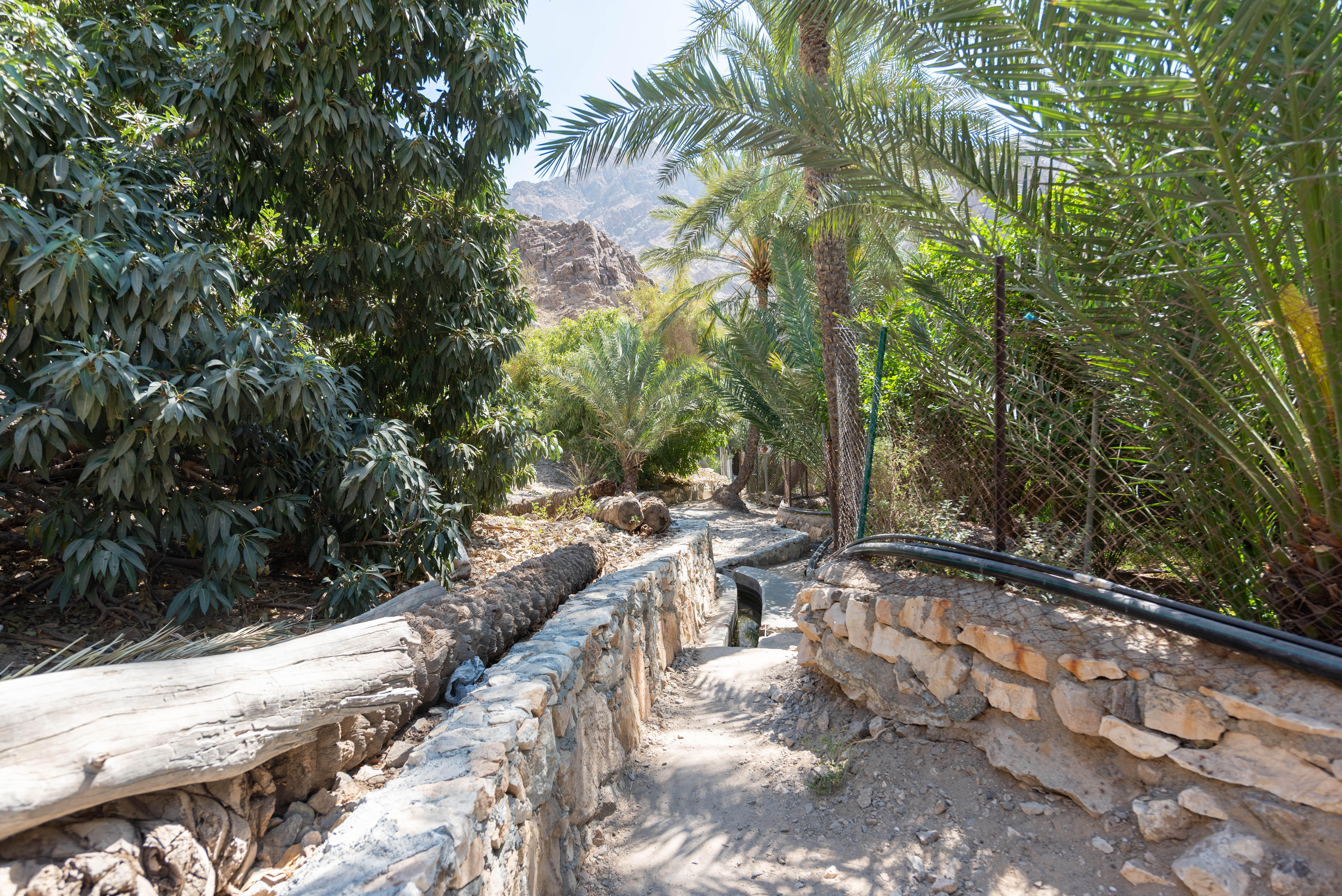 Wadi village