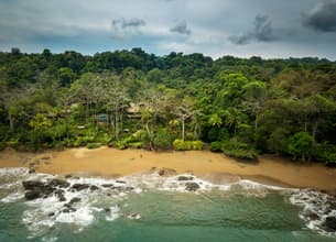 Stroll across the coast at Tortuguero National Park
