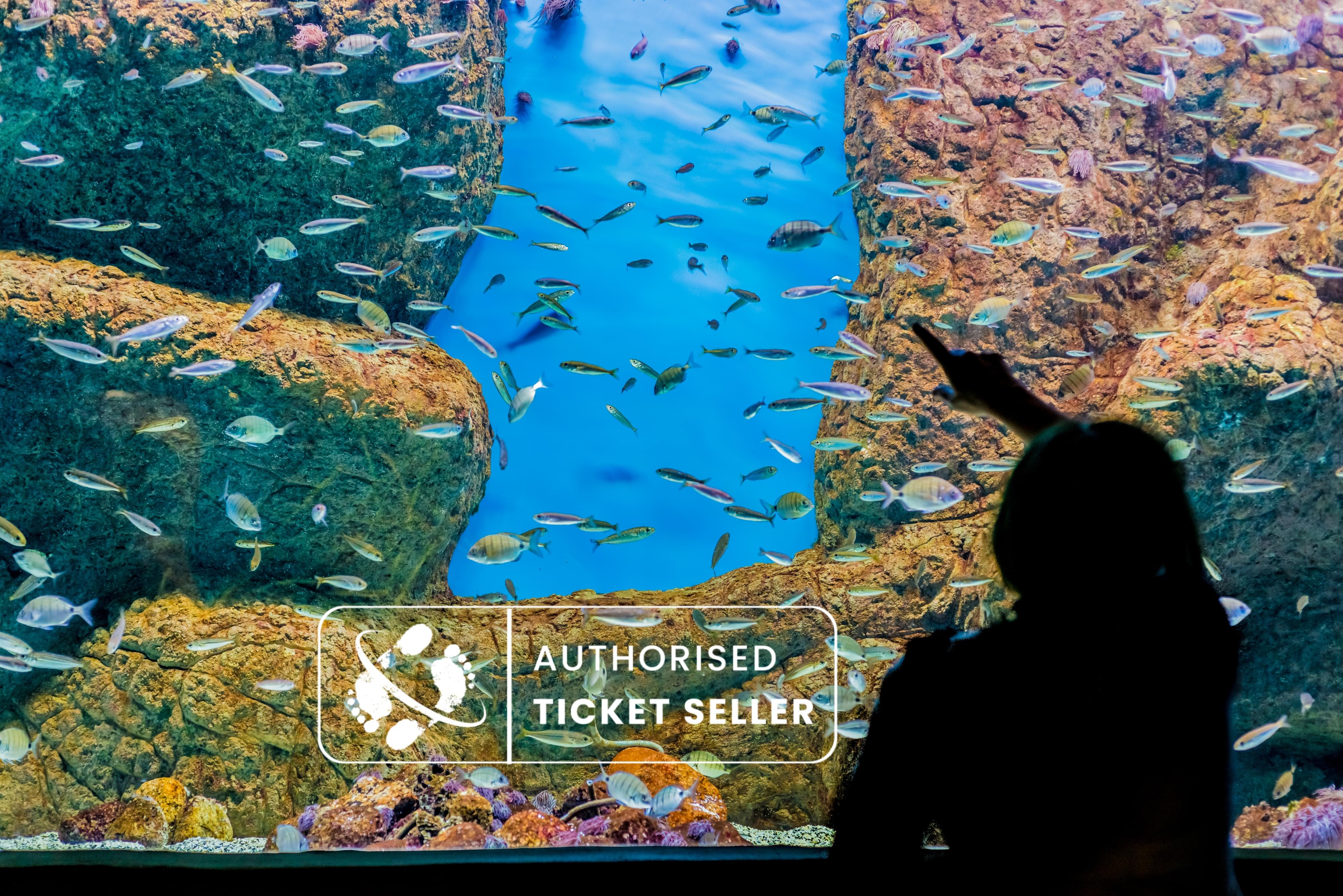 Seville Aquarium Tickets