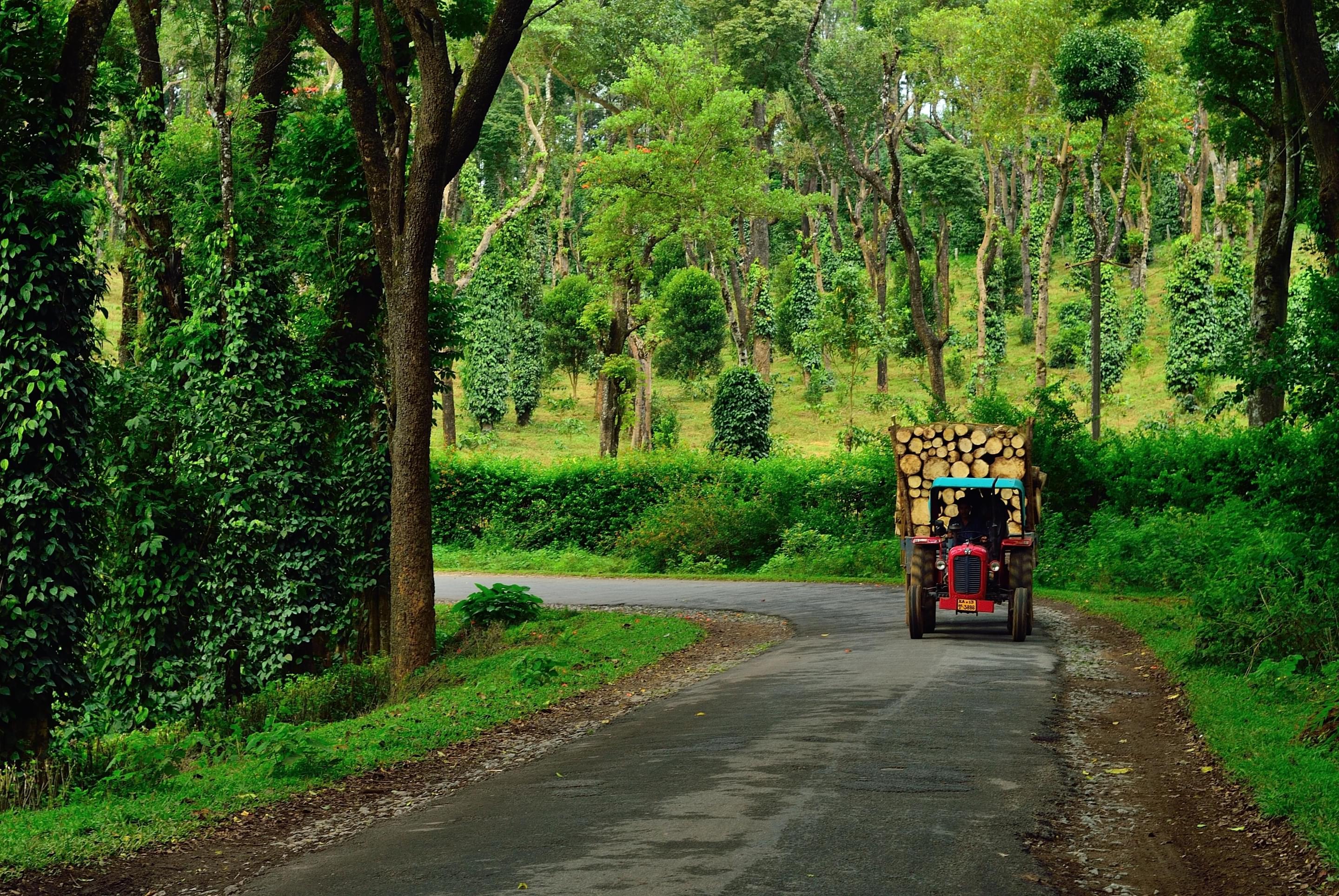 Offbeat Experiences in Coorg