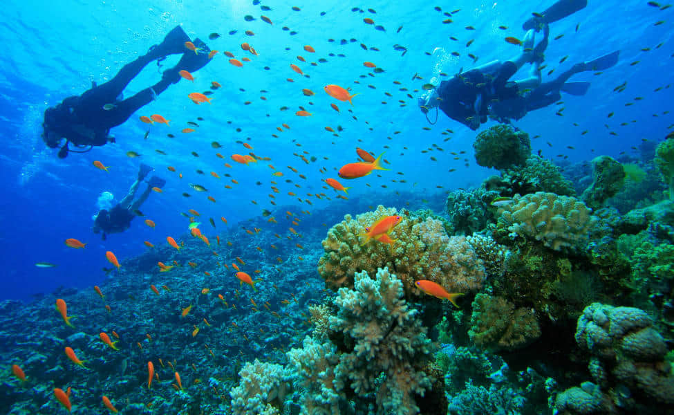 Water Sport in Gokarna - Upto 45% Off