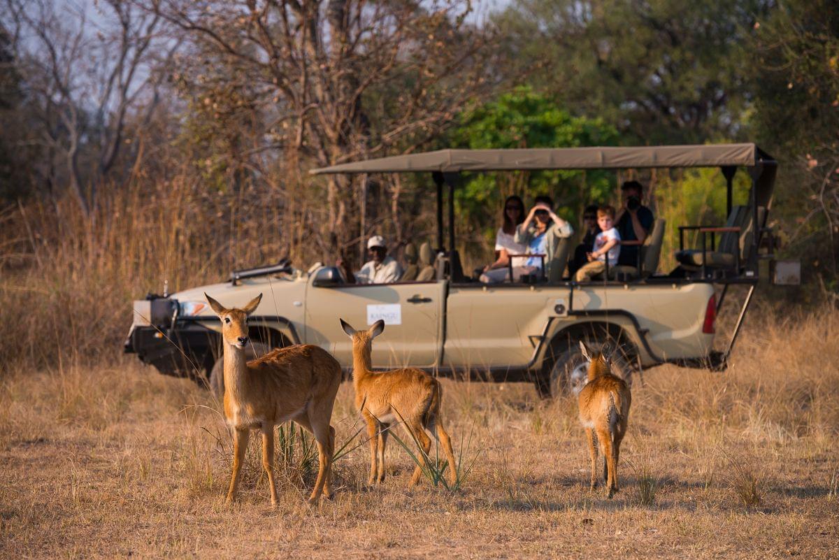 Kafue National Park Safari