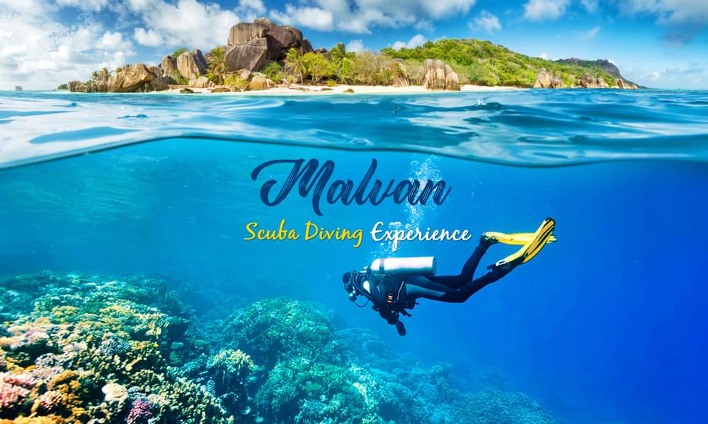 Scuba Diving In Malvan Image