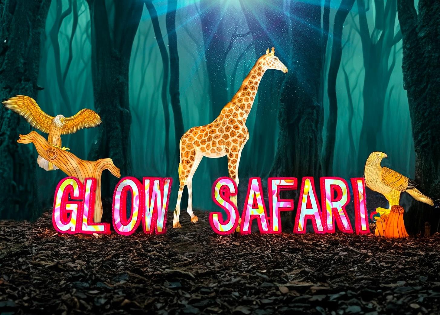 Glow Safari