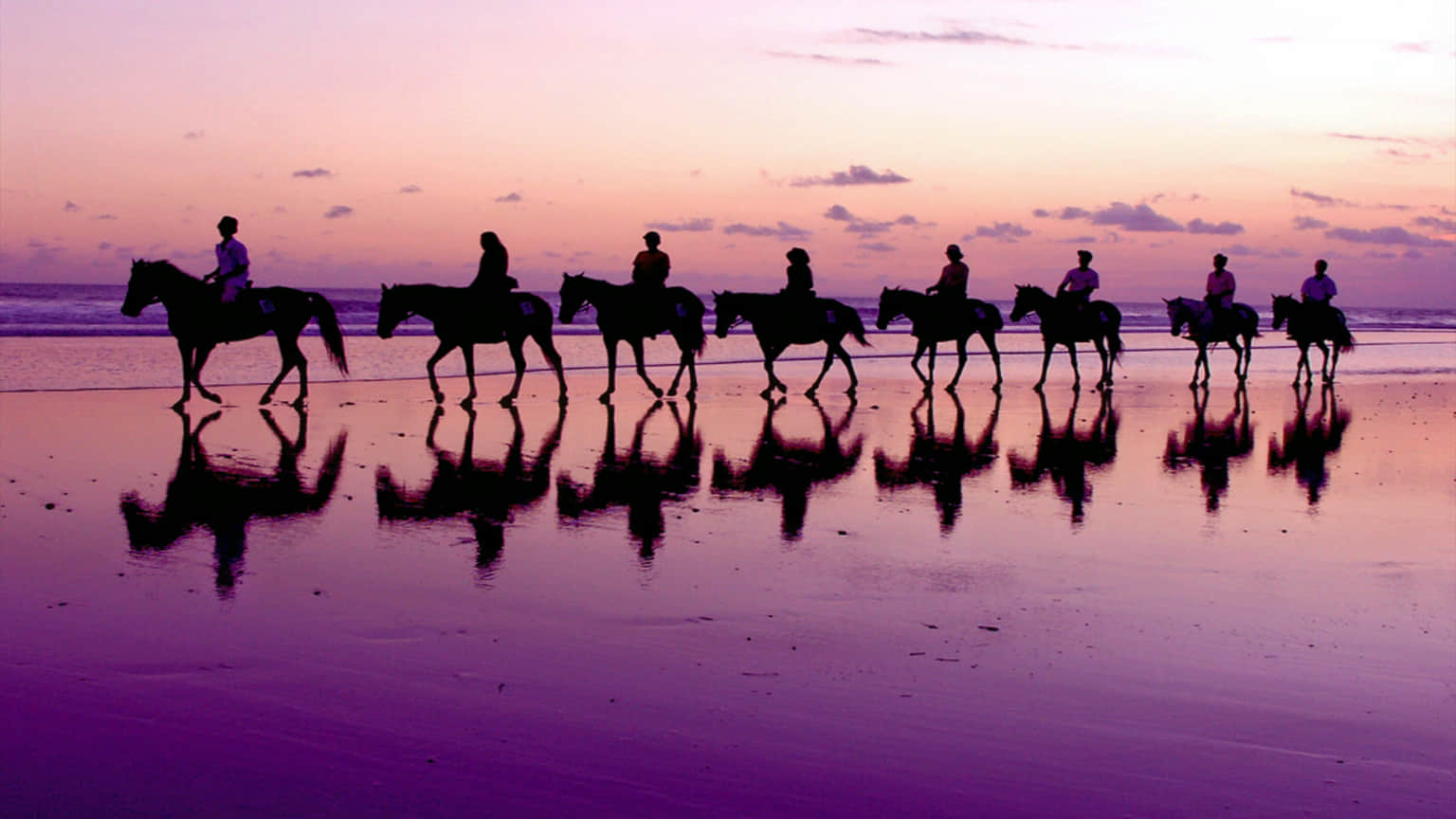 Bali Island Horse, <em>Bali</em>
