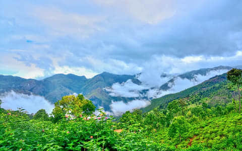 Best Homestays in Kotagiri