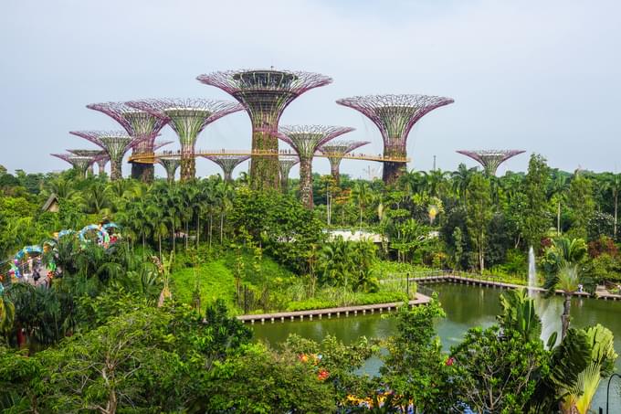 Singapore Botanical Gardens