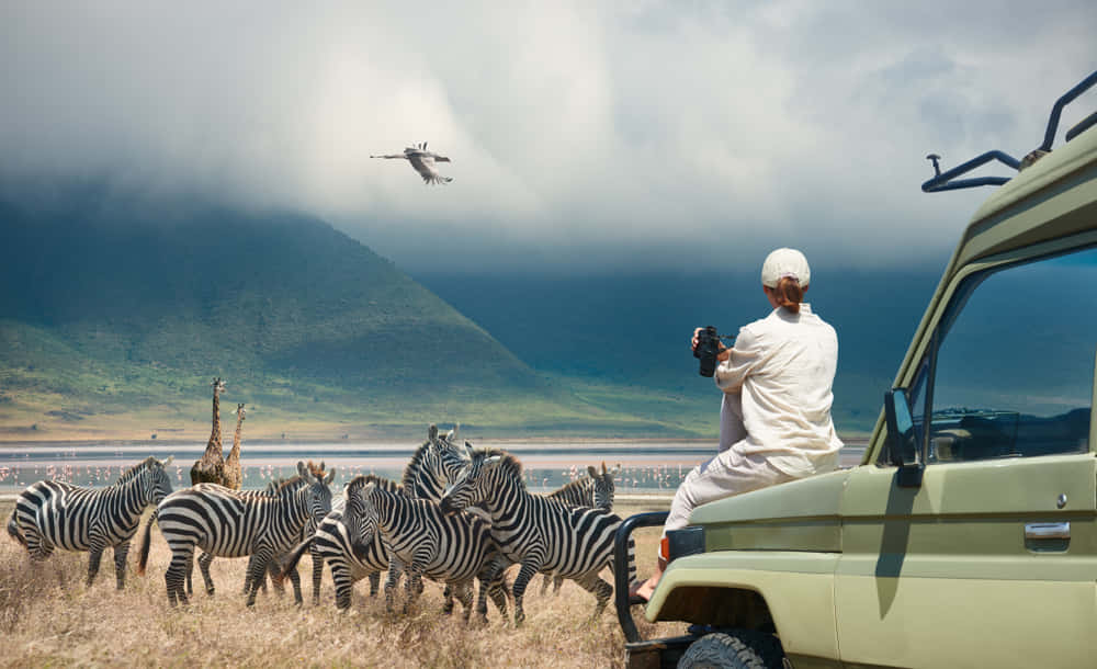 Incredible South Africa Tour