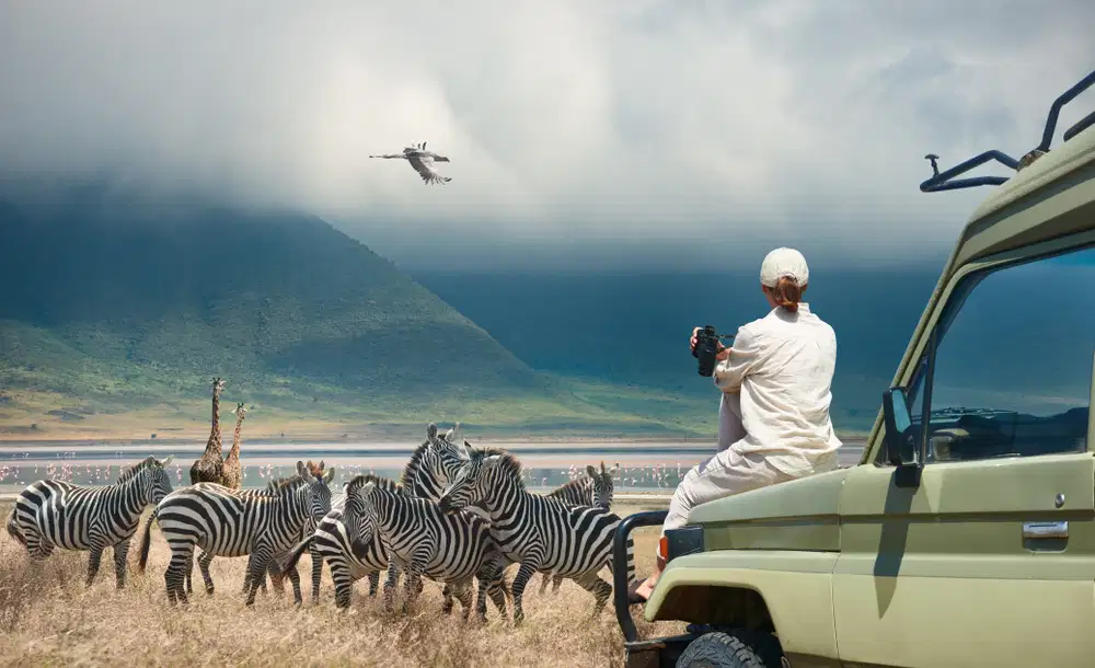 Incredible South Africa Tour