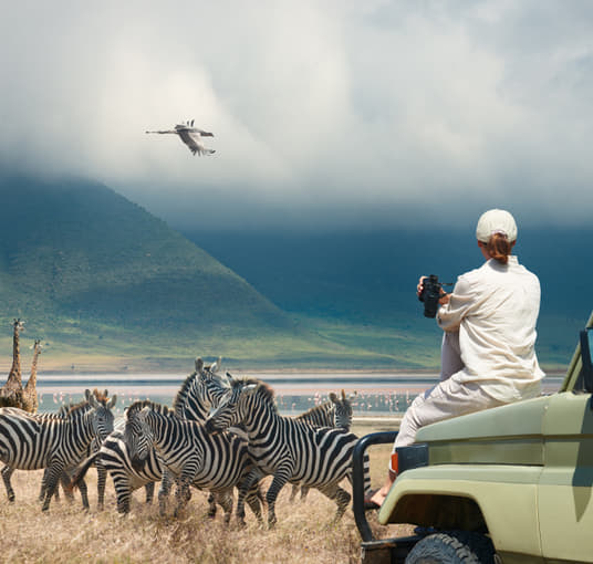 Explore the wildlife of Albertinia with game drive