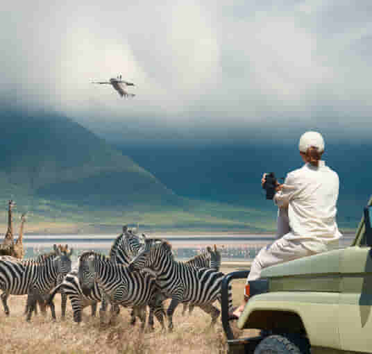 Explore the wildlife of Albertinia with game drive