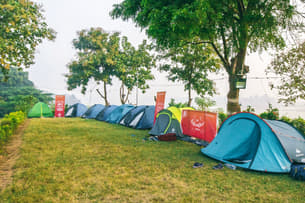 Vaqx5yytd727uejkmnaey5msw081 1574232980 image (11)