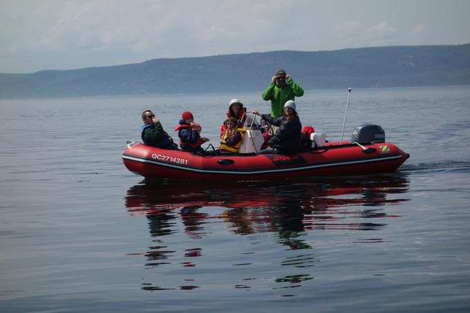 People watching whales in Quebec