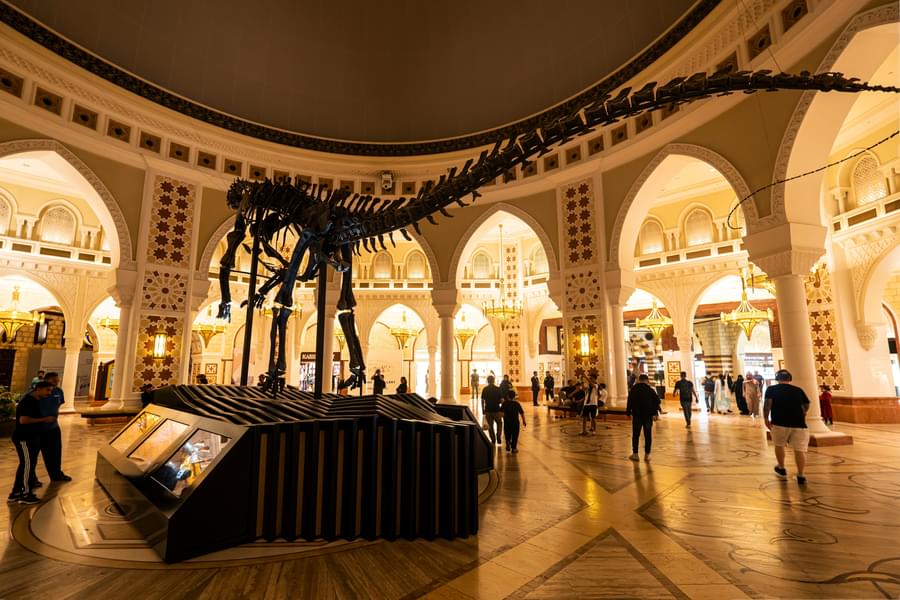 Dubai dinosaur skeleton