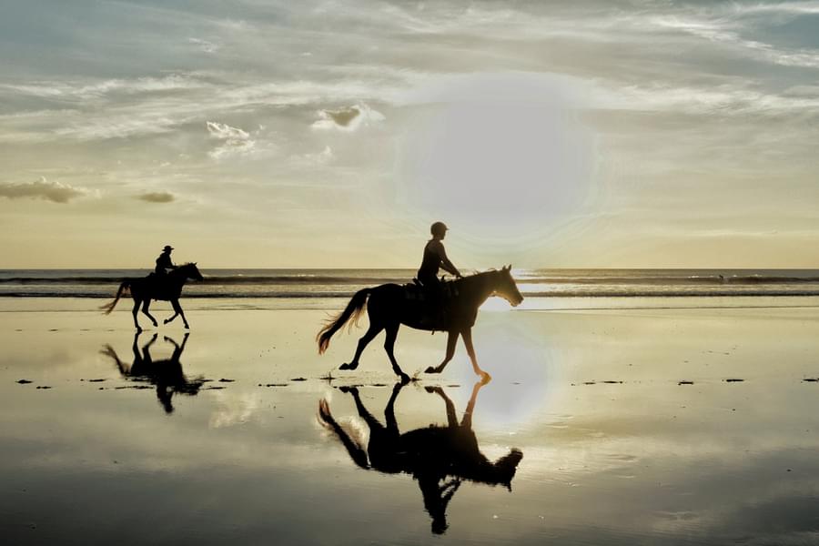 Horse Riding in Seminyak Image