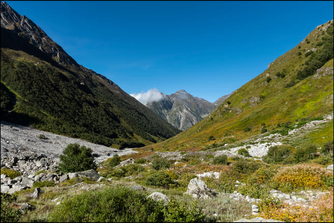 Valley of Flowers