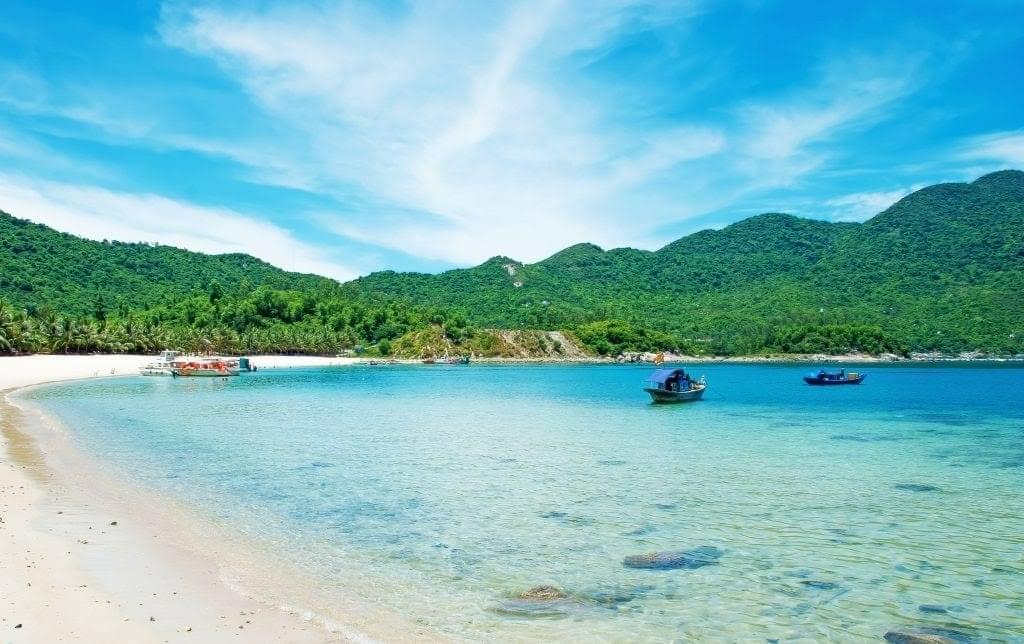 Cu Lao Cham Marine Park Overview