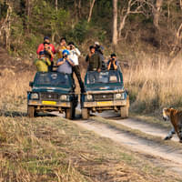 jim-corbett-tour-package-from-delhi