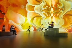 Explore the Illuminarium Atlanta and enhance your cinematic experience with state-of-the-art technology 