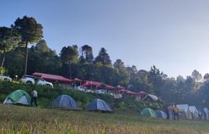 Experience the unique charm of Dome Tent Camping with stunning views and cozy bedding