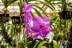 Explore the various habitats