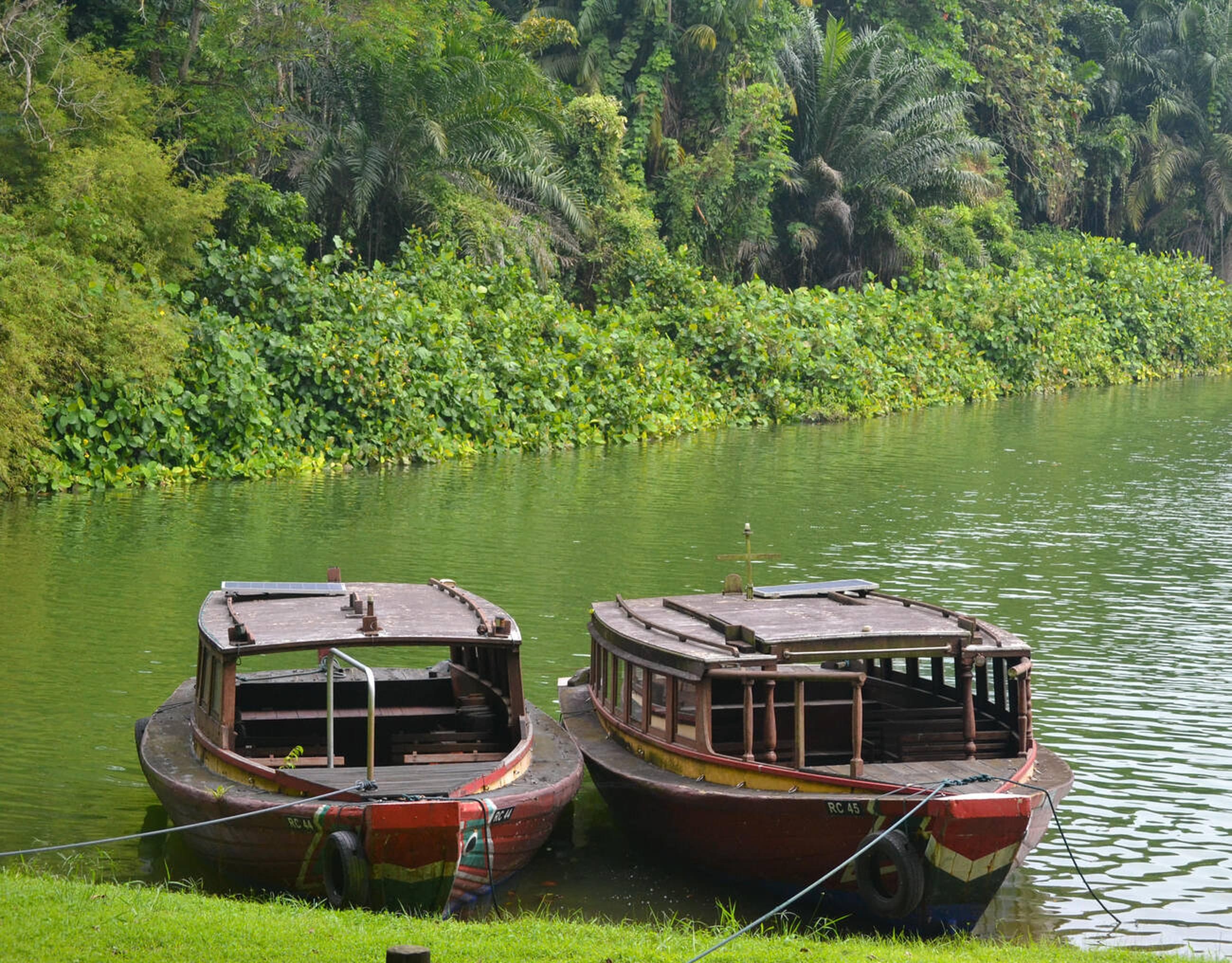 Singapore Zoo River Safari