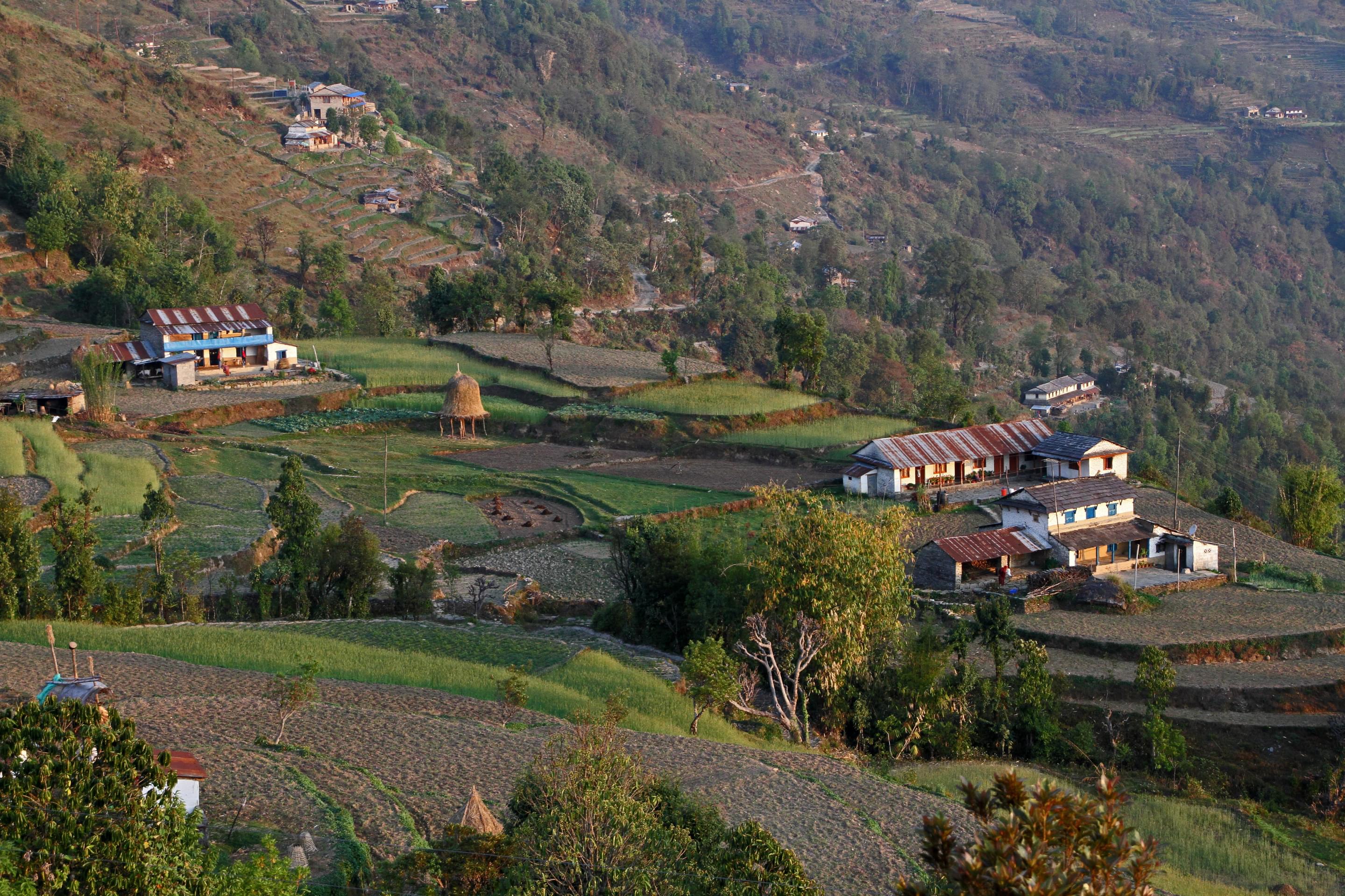 Kimche Village Overview