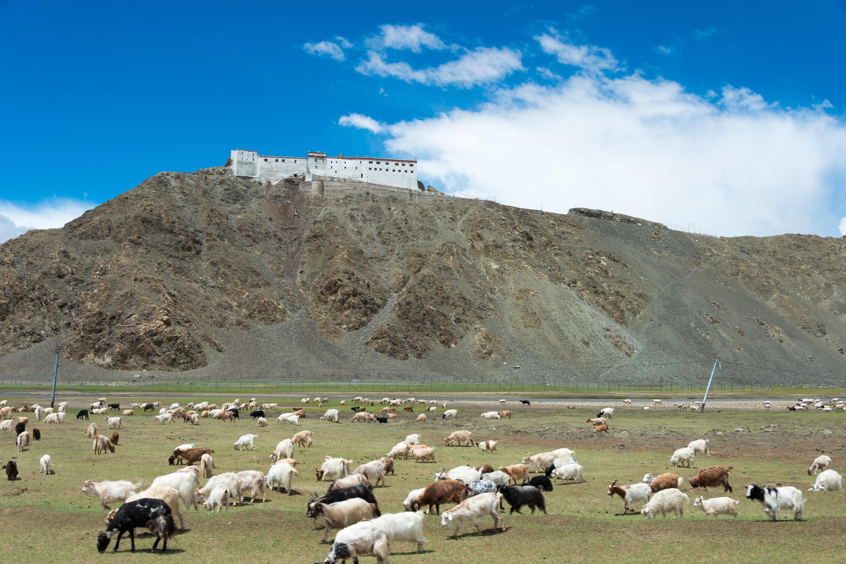 Hanle Tour Packages | Upto 40% Off