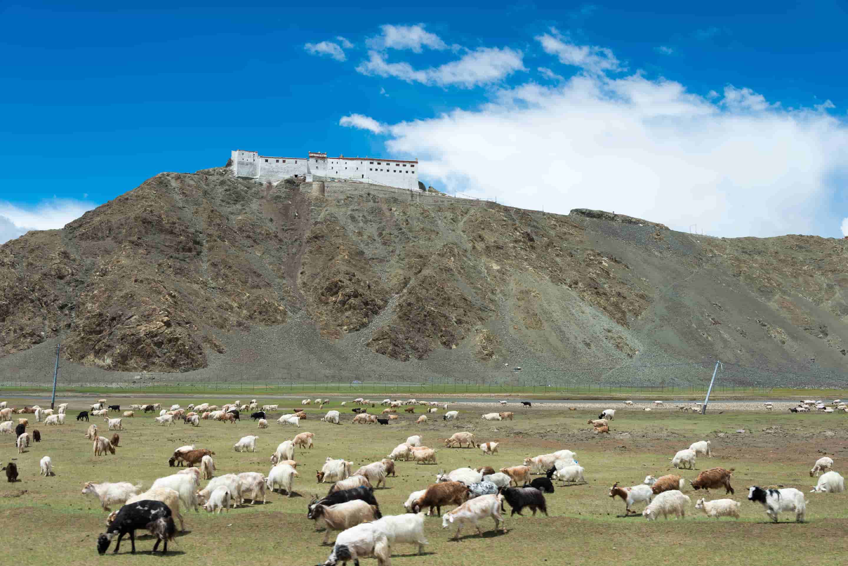 Hanle Tour Packages