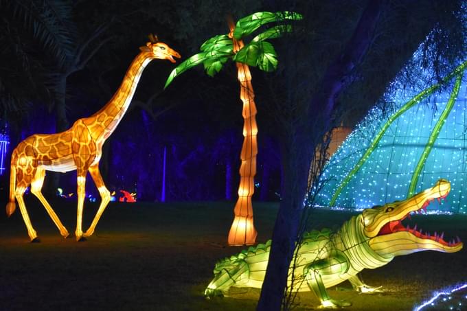 Dubai Garden Glow Facts