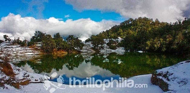 Rhododendron Trek Image