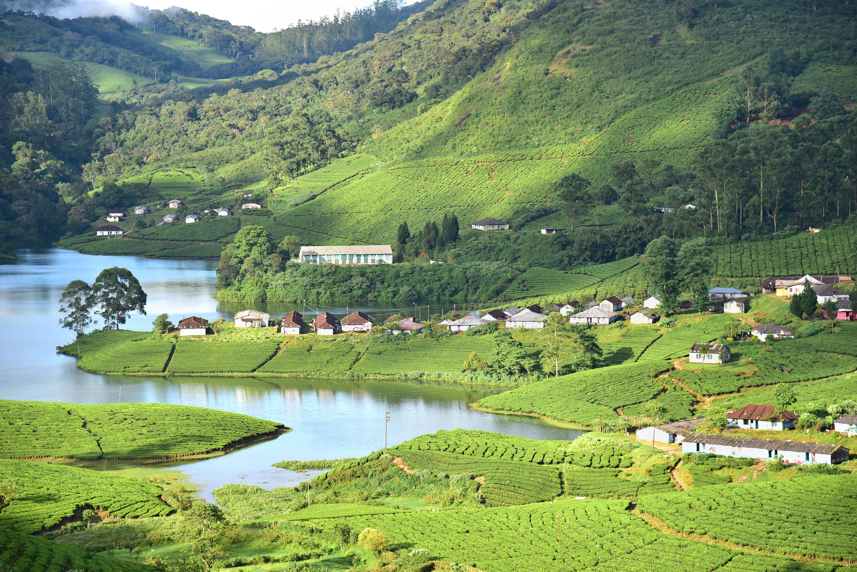 Things to Do in Munnar