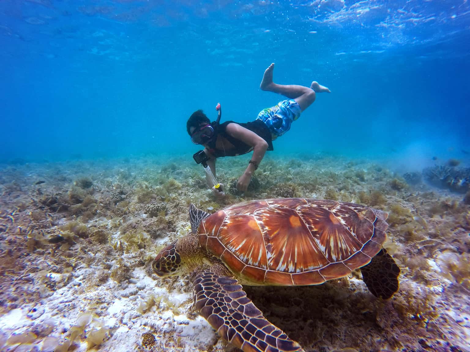 Andaman Activity Package 5 Nights 6 Days