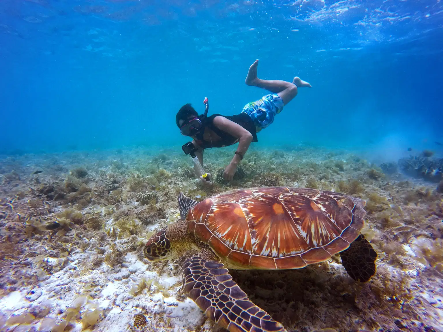 Andaman Activity Package 5 Nights 6 Days