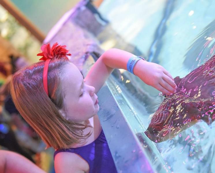 Visit the touch pool to interact with many fishes