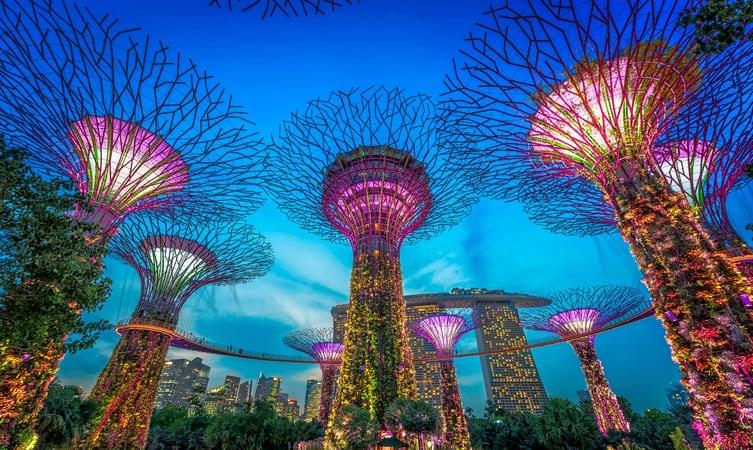 Visit the Gardens by the Bay 