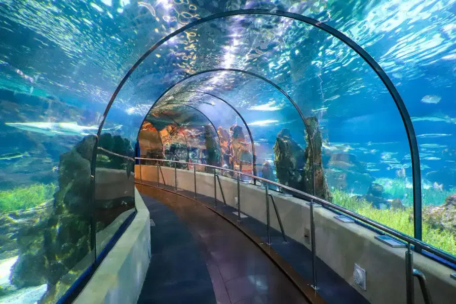 Aquarium Barcelona Tickets Image