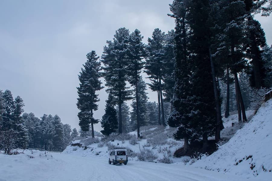Doodhpathri Sightseeing Tour, Kashmir Image