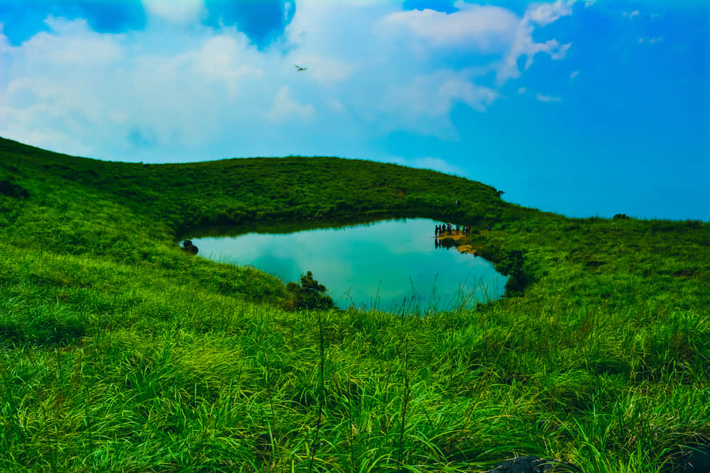 Treks in Wayanad