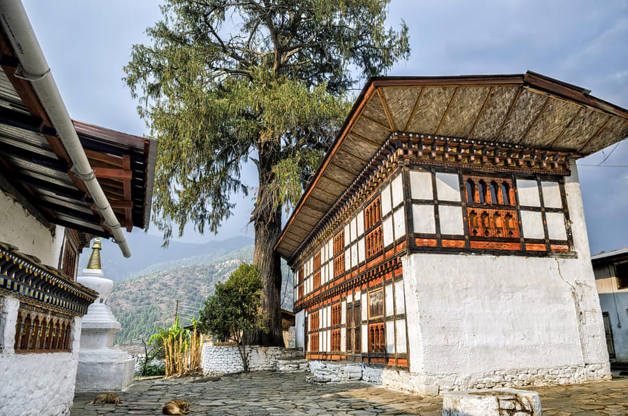 Instagrammable Bhutan | Couple Special Image