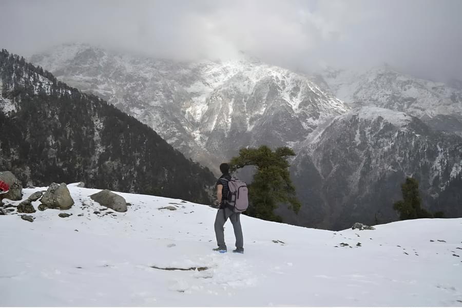 Snowline Trek Image