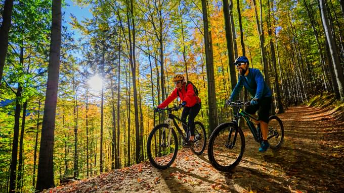 Mountain Biking