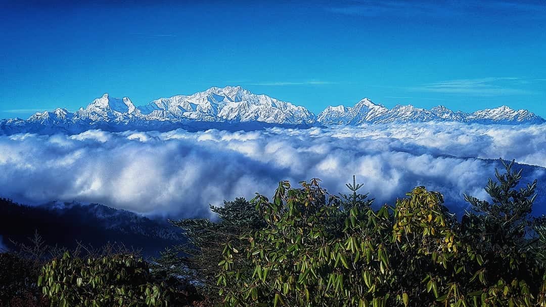 Sandakphu West Bengal