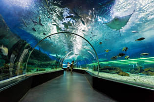 S.E.A. Aquarium