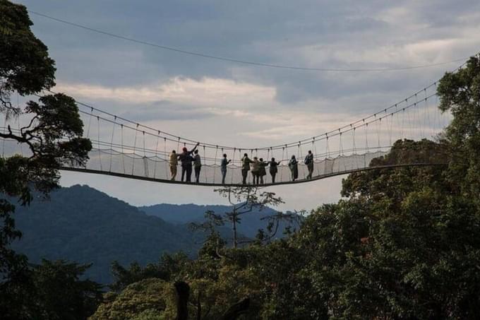 Nyungwe Forest National Park.jpg