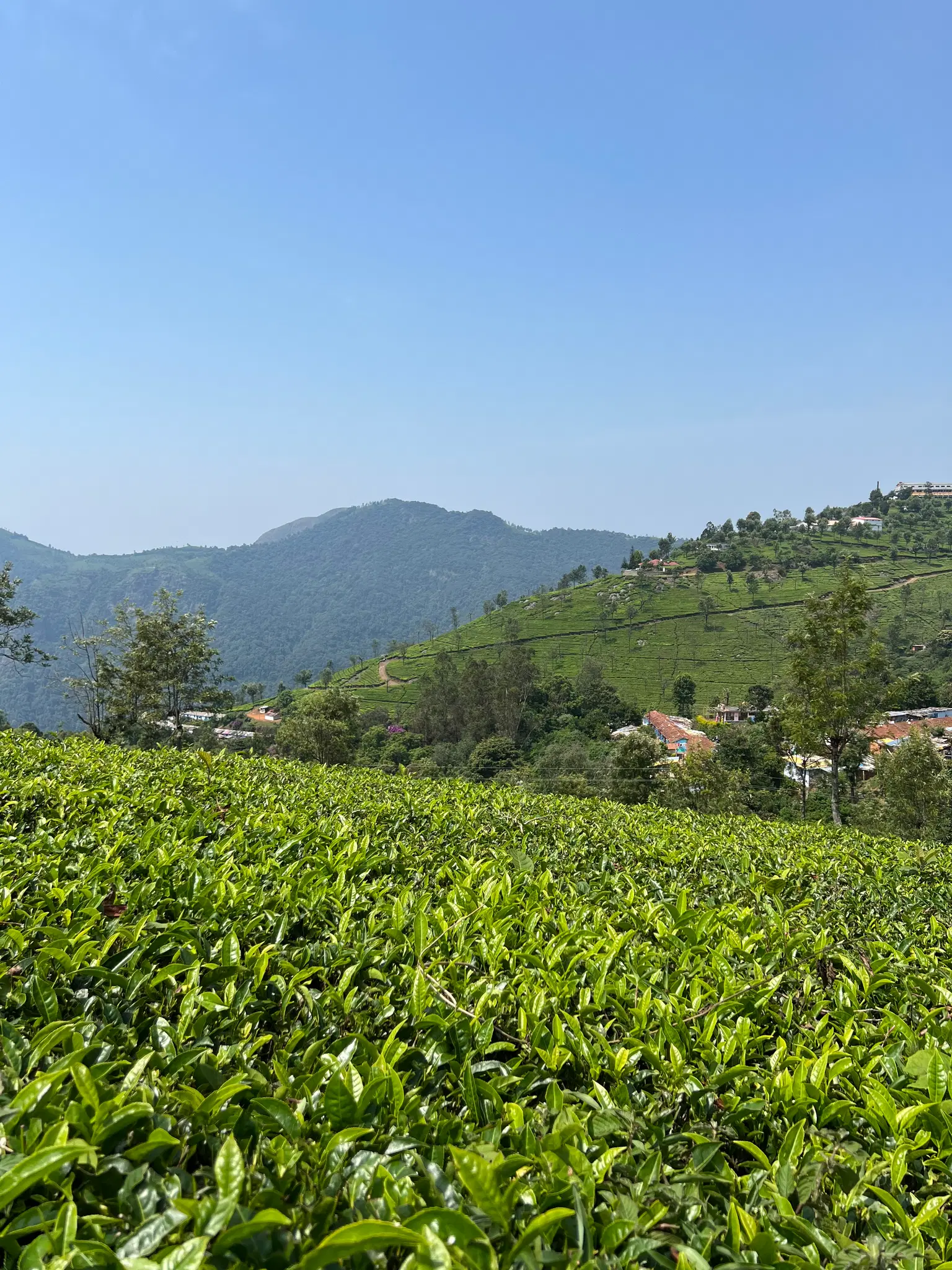 Photo from Vaishnavi Rentala's trip