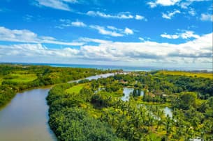 Full-Day Waimea Canyon and Wailua River Tour